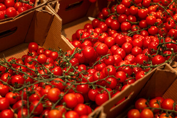 Fresh red tomatoes on branches in boxes in a store. Organic products and health.