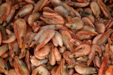 Frozen boiled shrimp in a container at the market. Seafood and healthy foods. Background. Topvid.