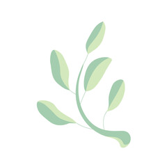 Leaf flat design object isolated botany stock vector illustration for web for print, sticker
