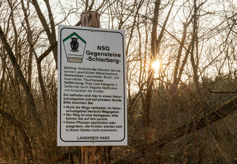 Frühblüher Winterlinge und Märzenbecher Naturschutzgebiet Zehling Ballenstedt