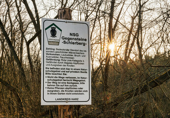 Frühblüher Winterlinge und Märzenbecher Naturschutzgebiet Zehling Ballenstedt