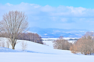 雪景色　雪と山と雲と青空