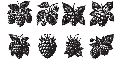 Raspberry, wild berry, black silhouette on a transparent background, vector drawing set for stencil, print
