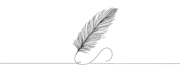 Continuous drawing of a bird feather on a white background. vector illustration of a feather in one line.