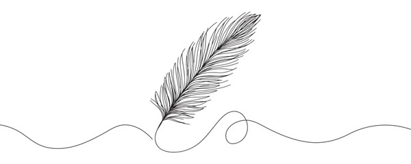 Continuous drawing of a bird feather on a white background. vector illustration of a feather in one line.