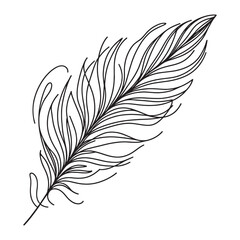 Continuous drawing of a bird feather on a white background. vector illustration of a feather in one line.