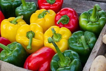 vegetables and fruits in a basket