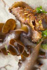 Seaweed at low tide, Longis Bay, Alderney, Channel Islands, British Isles
