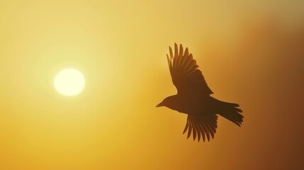 A bird's silhouette gracefully soars across a warm sunset sky, symbolizing freedom and tranquility.