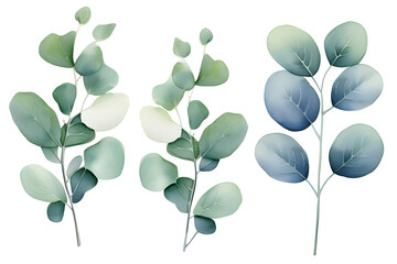 Close-up of watercolor leaves of flowers and eucalyptus on a white background, set,  generated by AI. 3D illustration