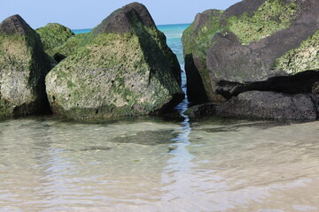 the rocks of the coast