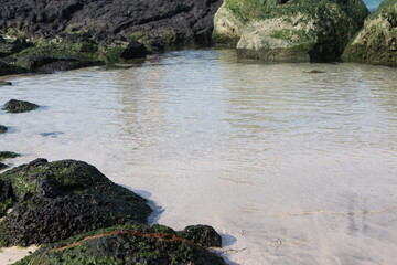the rocks of the coast