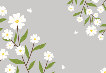 Background frame with spring blooming white flowers. Branches of spring blooming flowers in vector, flat style.
