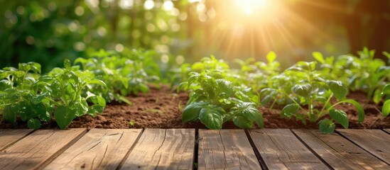 A wooden table covered with a variety of lush green plants, creating a vibrant display in a morning organic farm setting. The blurred background adds depth to the scene.