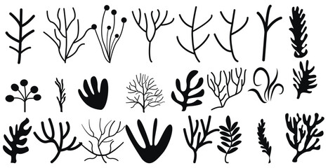 Set corals seaweed silhouette marine plant elements isolated vector decorative elements isolated illustration on white background icons and stamp