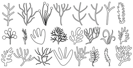 Set corals seaweed silhouette marine plant elements isolated vector decorative elements isolated illustration on white background icons and stamp - obrazy, fototapety, plakaty