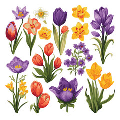 Intricately Drawn Spring Flowers Collection in Vector Style