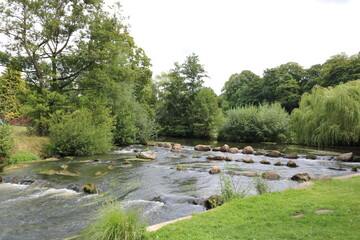 Fluss Böhme in Bad Fallingbostel in der Lüneburger Heide im Sommer - 749443814