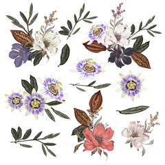 Set of vector vintage hand drawn flowers