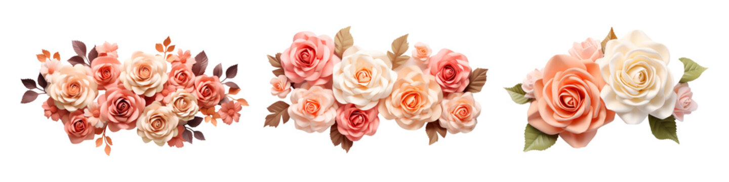 Pastel peach and rose pink isolated on transparent background.