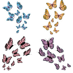 vector flat butterflies flying background with color gradient  Collection