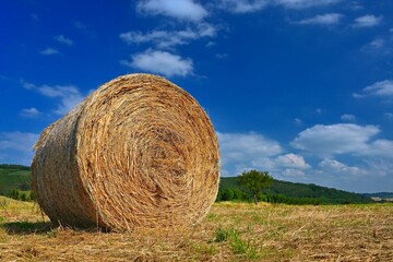 Beautiful Summer Landscape Agricultural Field Round Bundles Dry Grass Field With Bleu Sky Sun Hay Bale Haystack