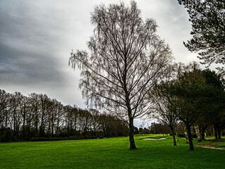Walking on an empty golf course