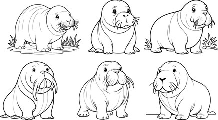 Walrus hand set drawn coloring page and outline vector design
