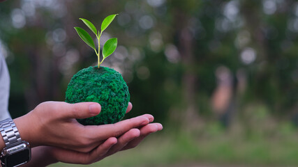 baby hand holding green grass ball with ecology icon for eco friendly or sustainable resources concept. Saving the green world and environment from global warming concept.	
