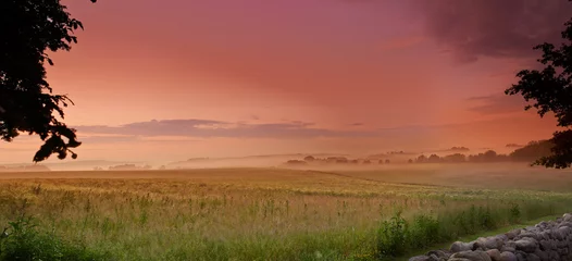 Tuinposter Sunlight, grass field or fog in countryside, pasture or landscape, for meadow, panorama or wallpaper. Mist, dramatic sky or sunrise for serenity, natural or colorful scenery of peaceful grassland © SteenoWac/peopleimages.com