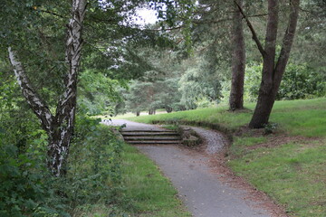 Park mit Bäumen und Weg mit Treppe am Flüggenhofsee in Munster / Lüneburger Heide - 749461076