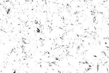 Grunge black and white background. Abstract monochrome pattern of leaf texture. Dark design backdrop surface.