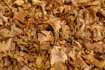 Dried sliced chanterelle mushrooms