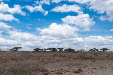 Ngorongoro, Tanzania, October 26, 2023.Landscape on the road between Ngorongoro and the Serengeti