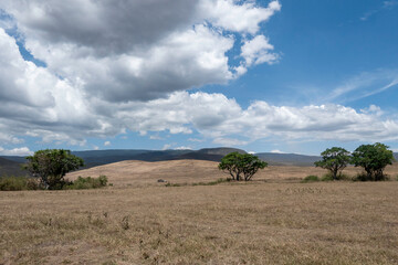 Ngorongoro, Tanzania, October 25, 2023. Safari cars on the roads of Ngorogoro