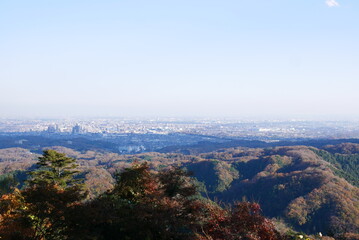 view of the city from the top
