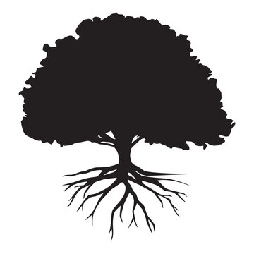 recommend clip art: Black silhouette oak tree with roots