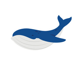 Whale. Underwater marine life