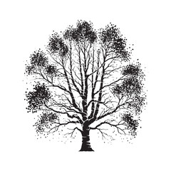 A Symbol of Harmony: A Solitary Aspen Tree Silhouette Standing in Serenity - Illustration of Aspen Tree - Vector of Aspen Tree - Silhouette of Aspen Tree
