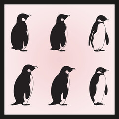 Naklejka premium Penguin silhouette set Clipart on a hex color background