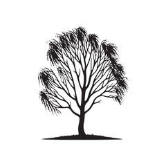 Graceful Silhouette of a Birch Tree: A Symbol of Resilience - Birch Tree Illustration - Birch Tree Vector
