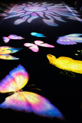 Vibrant play of color on a dark pathway street road with illuminated light projection of butterflies and iridescent flower pattern creating a fantasy magical atmosphere at night