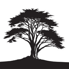 Timeless Symbol: A Majestic Cypress Tree Silhouette Standing the Test of Time - Illustration of Cypress Tree - Vector of Cypress Tree - Silhouette of Cypress Tree
