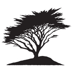A Beacon of Green: A Verdant Cypress Tree Silhouette Standing Out in the Crowd - Illustration of Cypress Tree - Vector of Cypress Tree - Silhouette of Cypress Tree
