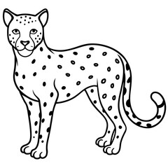 Cheetahs. Set of three colored vector images
