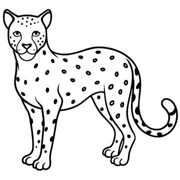 Cheetahs. Set of three colored vector images
