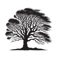 Majestic Silhouette of an Elm Tree - Towering Figure in the Landscape - Elm Tree Illustration - Elm Tree Vector
