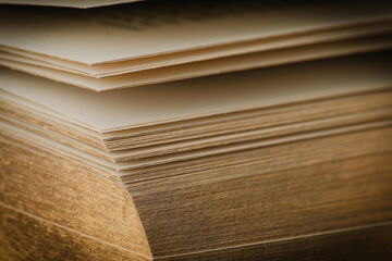 Macro view of book edge with gold leeaf