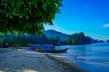 Tranquility of beach with lush green trees over a sandy beach. In the background, there is a blue sky with white clouds.