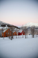 Remote orange and red fjord-side houses in winter, northern Norway